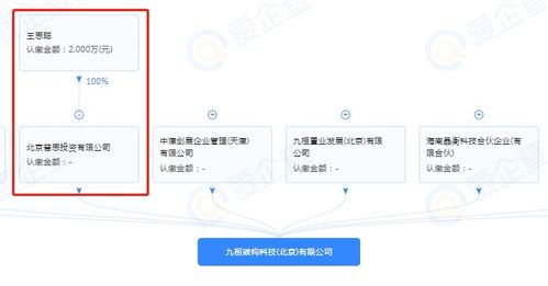 王思聰跨界布局，投資成立半導體制造公司引領技術新浪潮