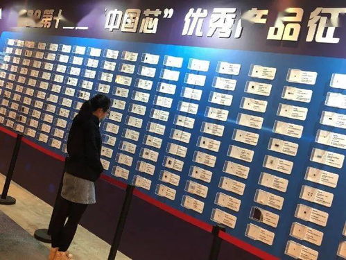 廈門軟件園企業(yè)榮獲“中國芯”優(yōu)秀產(chǎn)品技術(shù)推廣獎(jiǎng)，彰顯區(qū)域科技創(chuàng)新實(shí)力